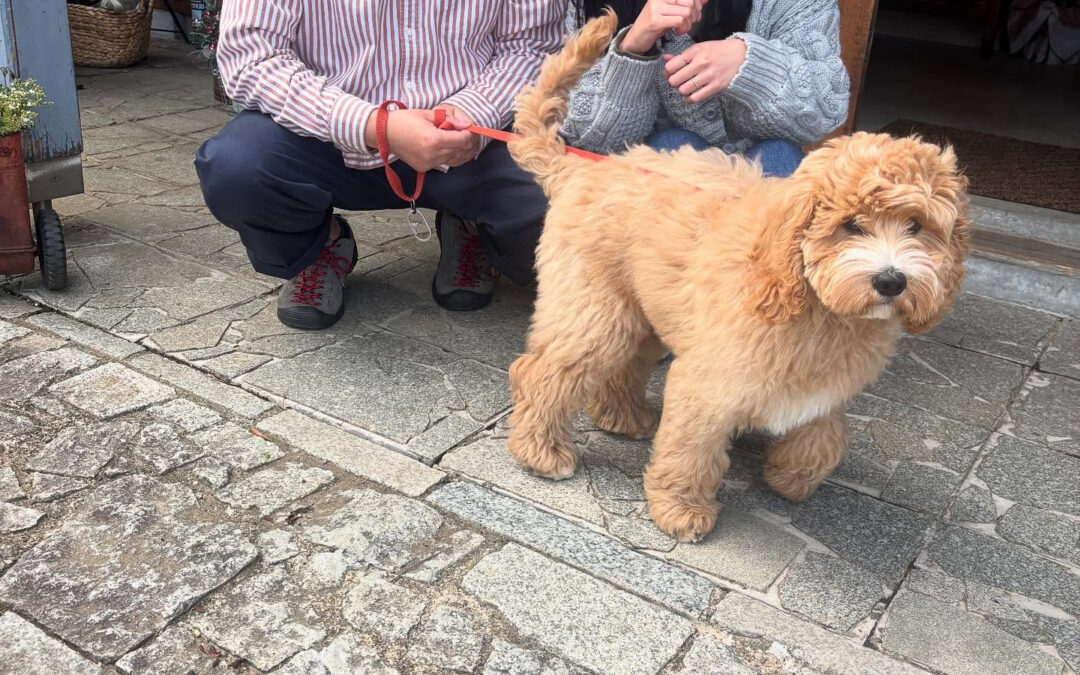 月曜日は定休日となりますので宜しくお願いしますっ✨