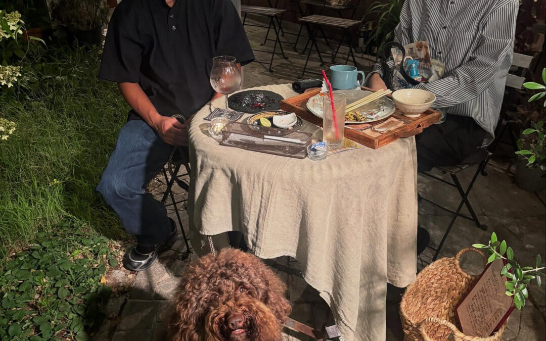 先日の可愛いお客様SANDY君❤️本当に可愛くていっぱいわし