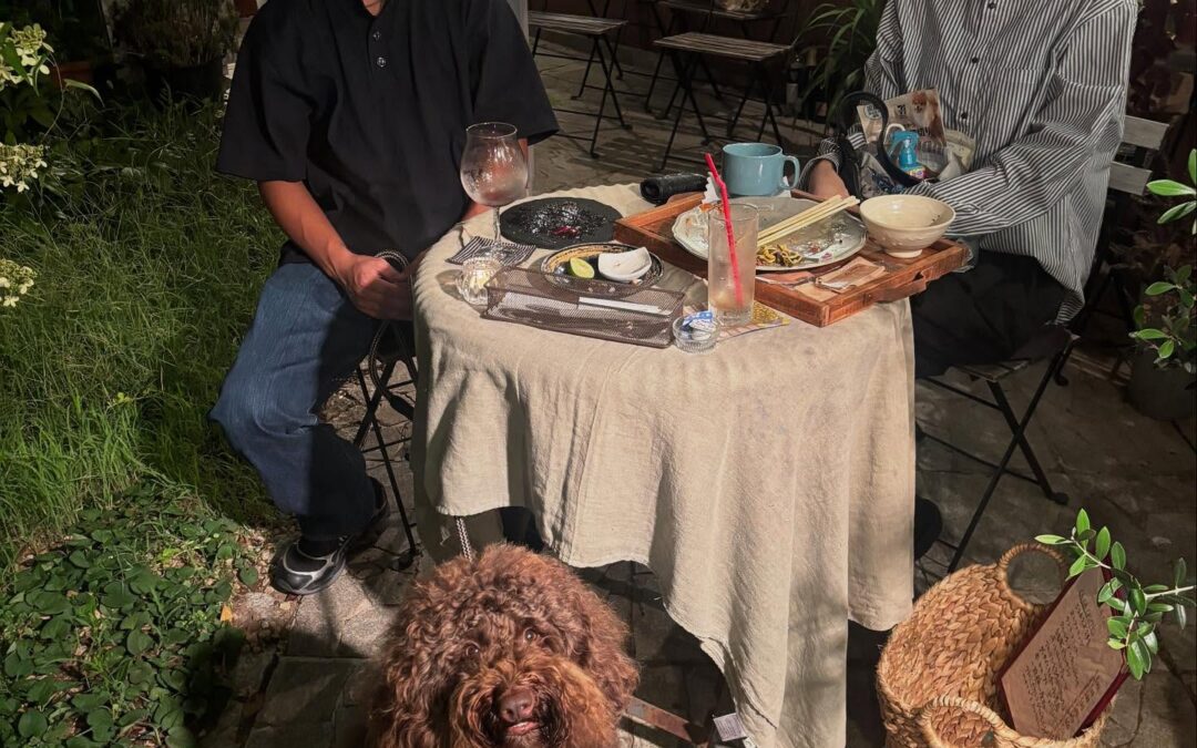 先日の可愛いお客様SANDY君❤️本当に可愛くていっぱいわし